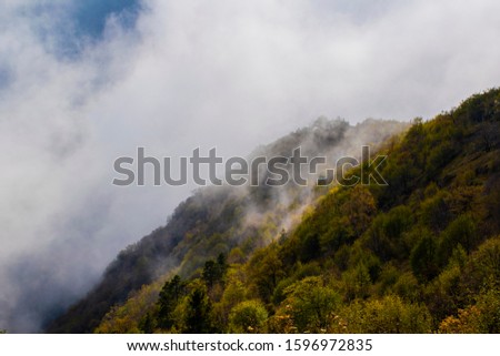 the November fog hides the panorama and the mountains on the path to Monte Pau in Cogollo del Cengio in the province of Vicenza, Veneto, Italy.