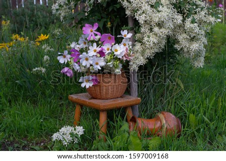 Beautiful summer gardening composition. Bouquet of red flowers in a wicker basket on a bench in the summer garden.