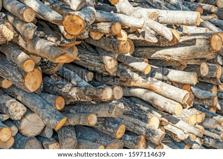 close up piles of wood to to burn and warm
