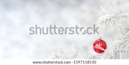 Red christmas ball hangs on frozen spruce branch at a winter forest on a blurry background. Christmas and New Year concept