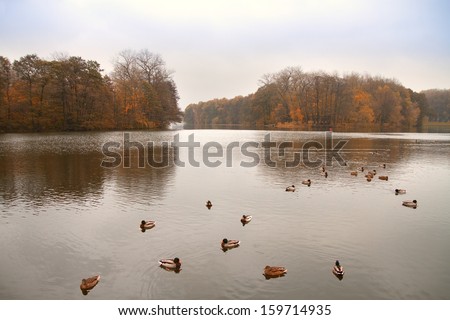 Late autumn at the river