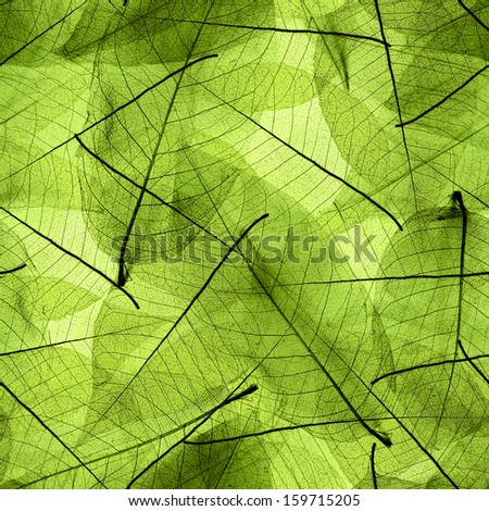 Seamless green  leaves background