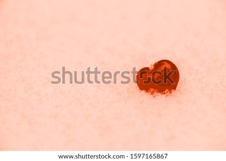 one red heart in the snow on Valentine's Day. close-up, background image. Lush lava background 2020 color