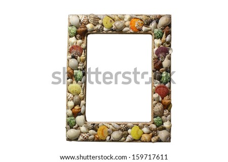 picture frame with seashells on white background