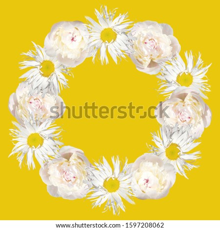 Beautiful floral circle of chamomile and peonies. Isolated