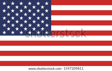 USA flag national American flat icon, United States of America country illustration vector 