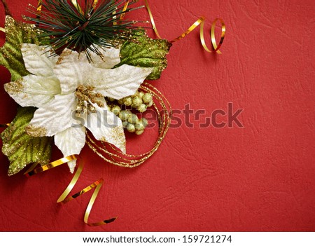 White poinsettia and golden streamer in a corner on red background
