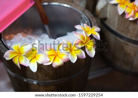 Pink frangipani plumeria flower on beverage in restaurant. Selective focus. Soft picture