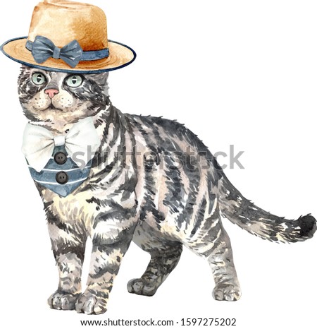 Watercolor american shorthair cat with hat and dress pet layer path, clipping path isolated on white background.