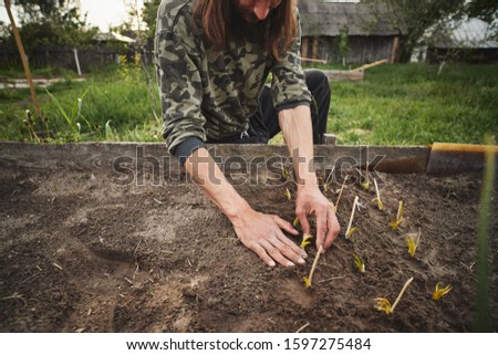 Young Caucasian rural man planting garlic in the ground at his farm.
