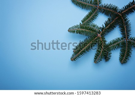A branch of blue spruce on a blue background. Minimalistic christmas banner. Copy space for text.