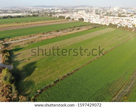 aerial picture of a corn field