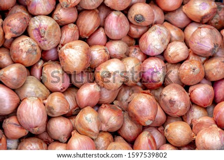 Selective focus of dried and peeled shallots in the tray at the market stall, Close up detail of wild onion bulb texture background, The shallot is a type of onion.