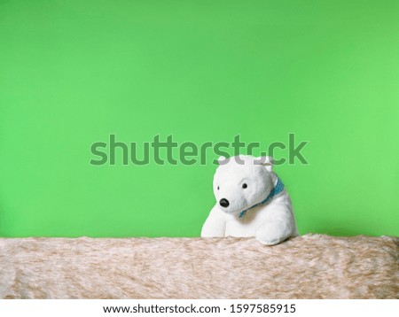 The bear doll, the green background, looking at the soft mink hair behind.