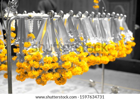 Thai artificial yellow marigold garland hang at the hanger and background in black and white tone.