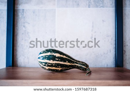 Striped green white decorative gourd on the office shelves. Interior decoration