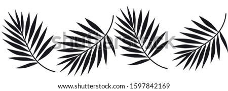 Black Palm Leaf Vector Illustration