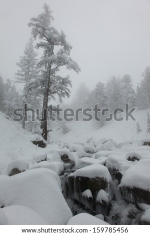River flowing among stones in the altai's mountains