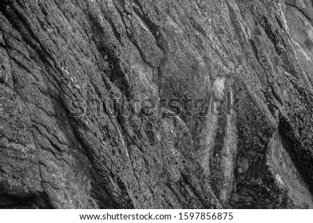 A relief site on a rock. Abstract black and white photo.