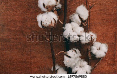 cotton on a wooden background