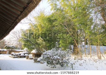  This picture is a picture of the winter in the back yard of an old country house.
The backyard is covered with white snow with various pots and firewood. 
Then, the bamboo is covered with snow.
