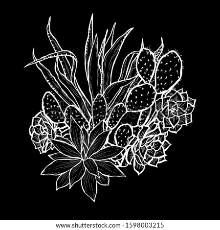 Decorative hand drawn succulents, design elements. Can be used for cards, invitations, banners, posters, print design. Floral background in line art style
