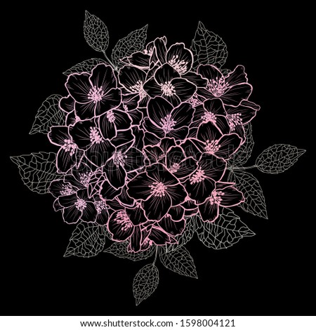 Decorative hand drawn jasmine  flowers, design elements. Can be used for cards, invitations, banners, posters, print design. Floral background in line art style