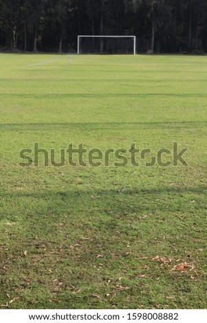 Soccer Field - green grass in soccer field. 