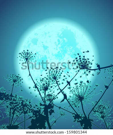 illustration of night flowers, background, vector clip-art