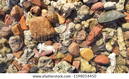 Petrified corals and colorful pebbles on the seashore. Water washes stones on the seashore.