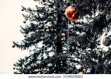 New Year's Eve balls on a Christmas tree in town. Living spruce in the city center. Beautiful spruce with red and gold balls. Big balls and small balls. 
