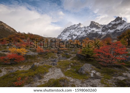 Colours of autumn, Argentina, Patagonia