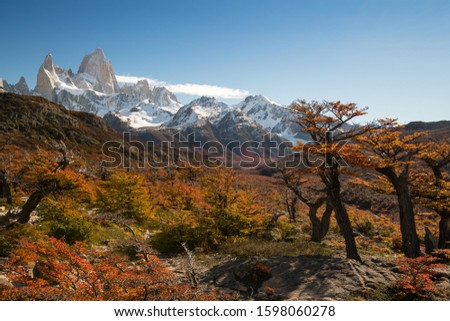 Valley under Cerro Chaltén, (  
Monte Fitz Roy), Patagonia