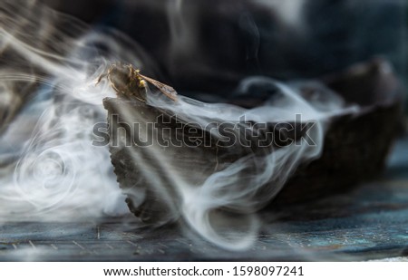 Bee Mist Boat - Stock misty scary spooky unusual steam smoke smog over wooden vessel miniature macro shot lost at sea curling grey around insect bug wings stripes  