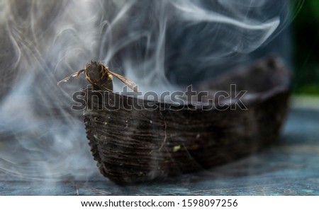 Bee Boat - Stock misty scary spooky unusual steam smoke smog over wooden vessel miniature macro shot lost at sea curling grey around insect bug wings stripes  