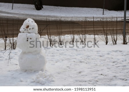 Snowman in the snowy garden