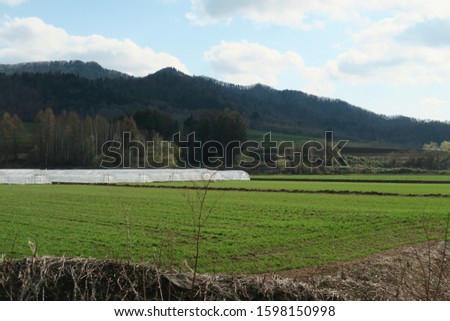 Countryside field in Hokkaido, Japan