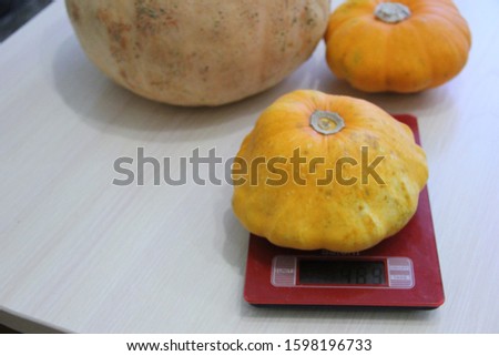 Patison lies on the kitchen electronic scales. on the table are patisons and pumpkin