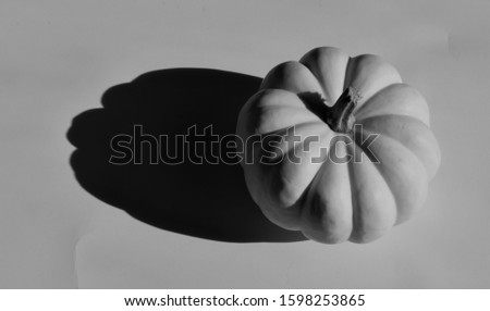 White mini pumpkin on a white background, high contrast with dark shadow. Stem visible.  Black and white picture. 