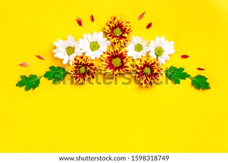 pattern of flowers red and white asters, green leaves  isolated on yellow background Flat lay Top view Mock up Sesonal concept Hello autumn, spring or summer, Good morning Holiday card