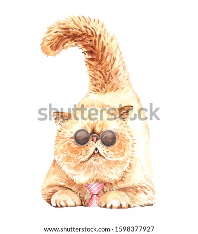 Watercolor persian cat with sunglasses layer path, clipping path isolated on white background.