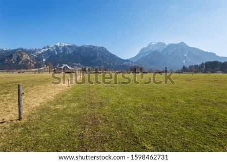 
Pasture in the Bavarian village of Schwangau. Picturesque, colorful meadow. Green grass. In the background the Neuschwanstein castle, snow-capped German Alps mountains, cloudless blue sky. Germany.