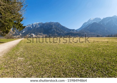 Green meadows, dirt road in the Bavarian village of Schwangau in Germany. Beautiful, spring landscape. In the background the castle of Neuschwanstein, snowy German Alps mountains, cloudless blue sky.
