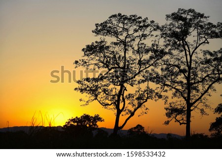 Sunset at Kaziranga National Park, Assam, India