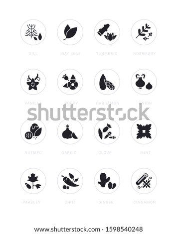 Collection simple icons of spices on a white background with names. Modern black and white signs for websites, mobile apps, and concepts