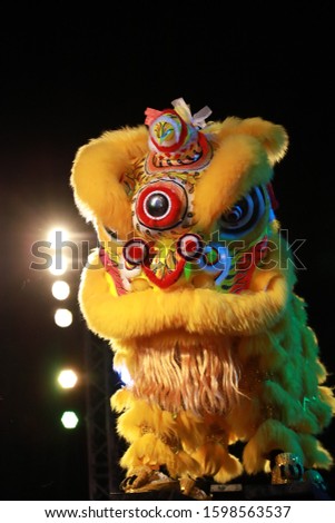 Colourful  chinese lion dance performance
