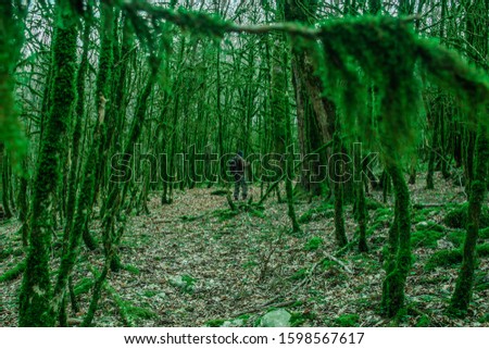 

man walks through a terrible dense gloomy forest
