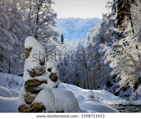 A few stones full of snow in a winter wonderlands - in the background trees and a mountain