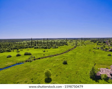 Summer landscape with a bird's-eye view of the village near the forest.