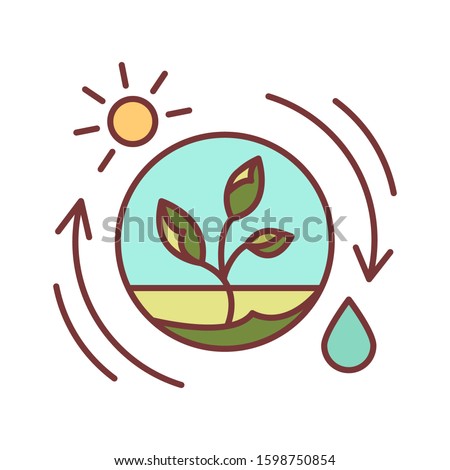 Competent photosynthesis color line icon. The process by which green plants and certain other organisms transform light energy into chemical energy. Editable stroke.